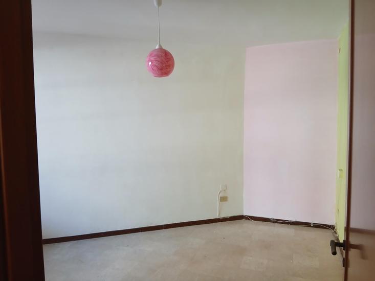  id.5301524